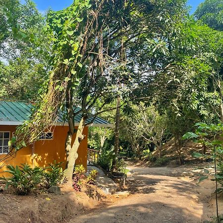 Hotel La Casablanca Tayrona Calabazo  Εξωτερικό φωτογραφία