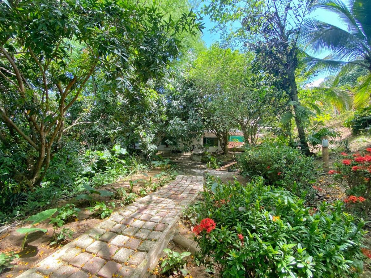 Hotel La Casablanca Tayrona Calabazo  Εξωτερικό φωτογραφία
