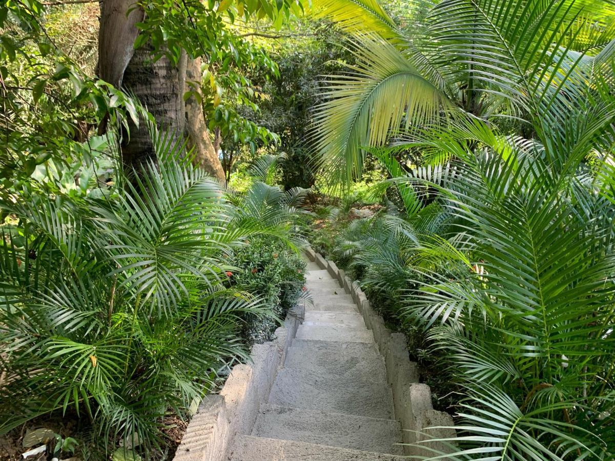 Hotel La Casablanca Tayrona Calabazo  Εξωτερικό φωτογραφία