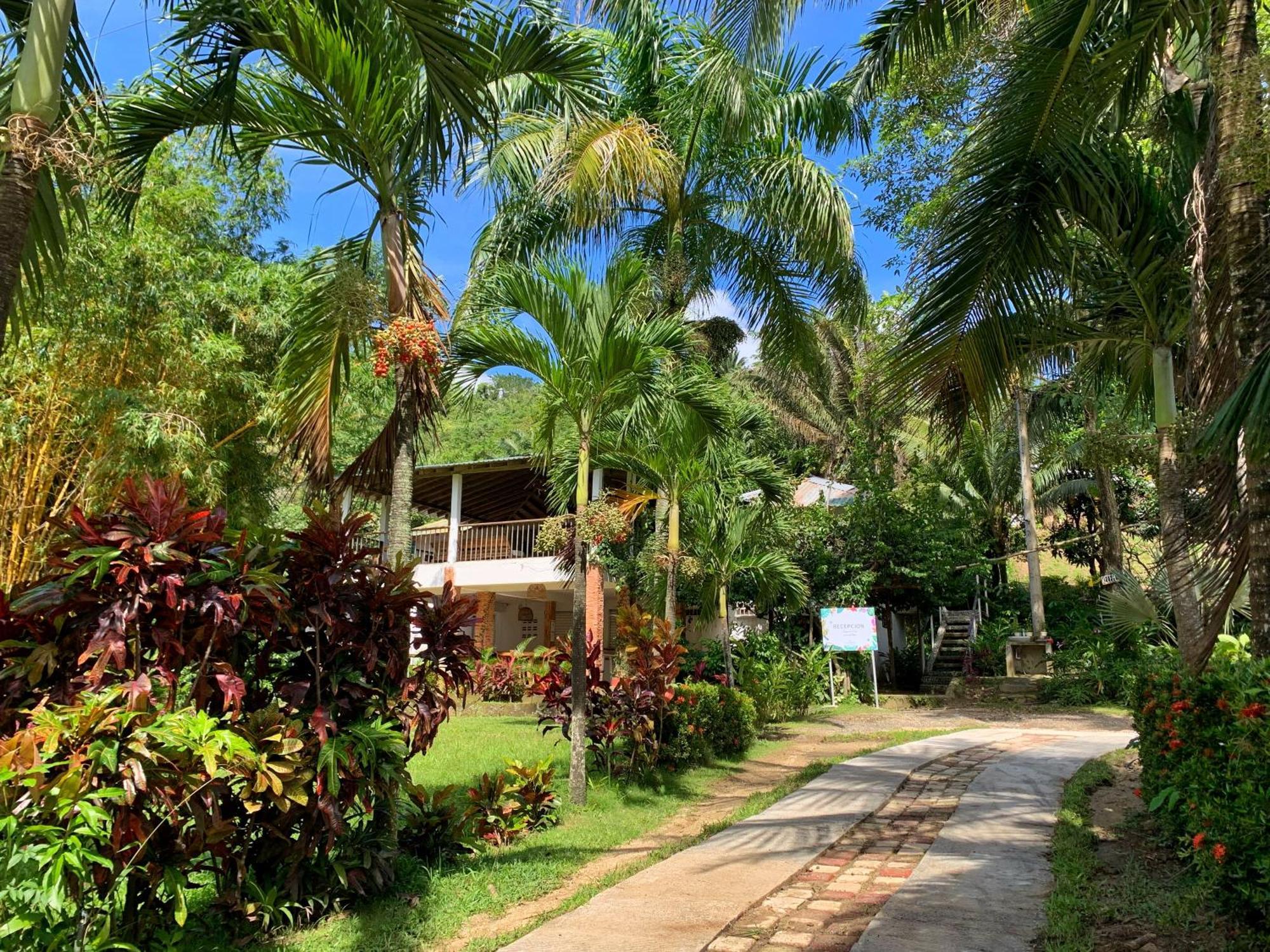 Hotel La Casablanca Tayrona Calabazo  Εξωτερικό φωτογραφία