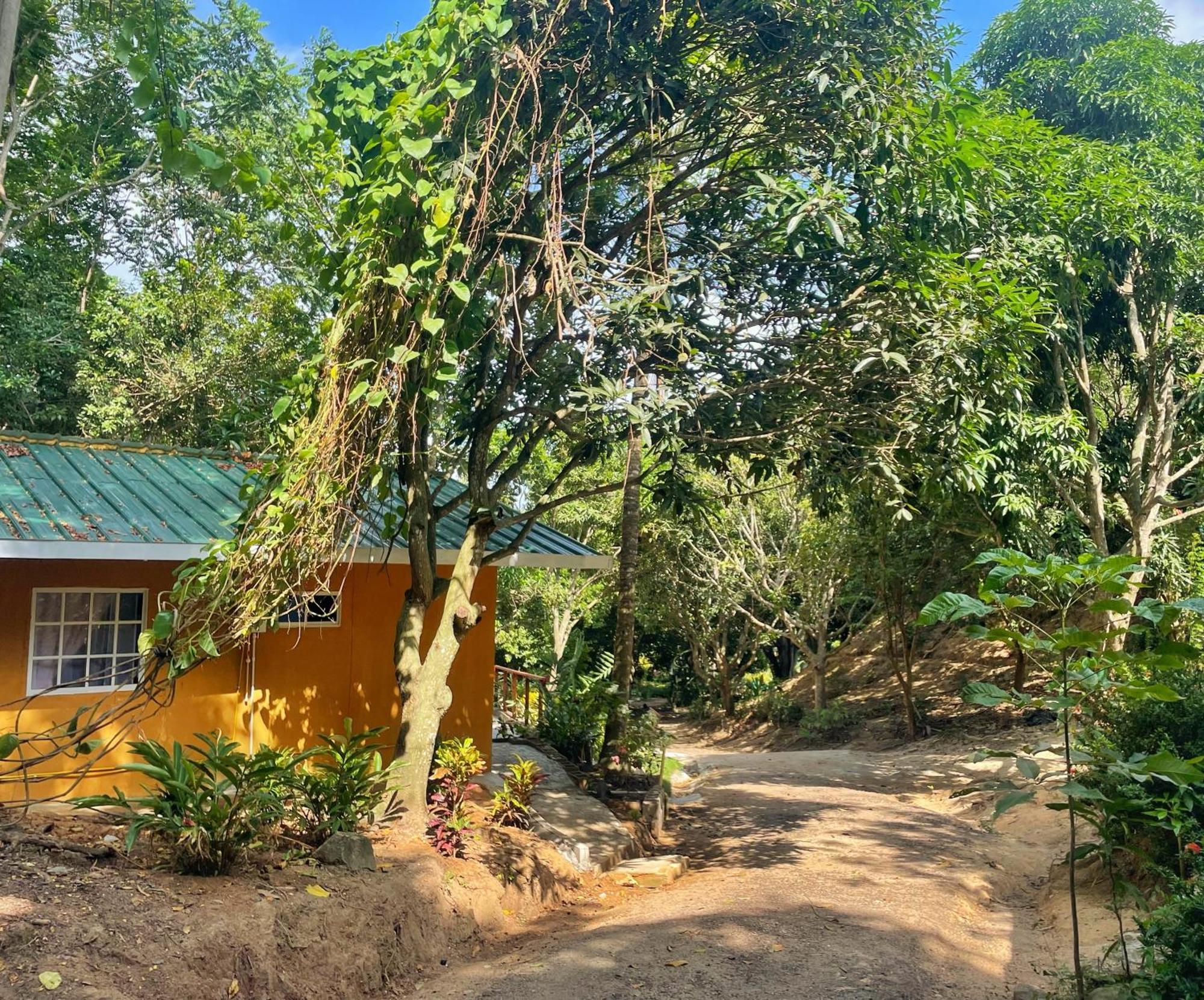 Hotel La Casablanca Tayrona Calabazo  Εξωτερικό φωτογραφία
